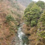 2022 3/29 道志川へ渓流ルアーフィッシング