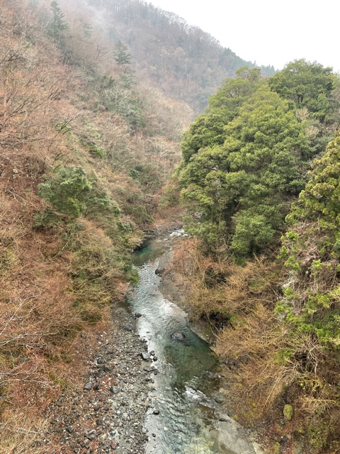 2022 3/29 道志川へ渓流ルアーフィッシング